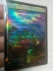 Forest #11 Foil S-Type
